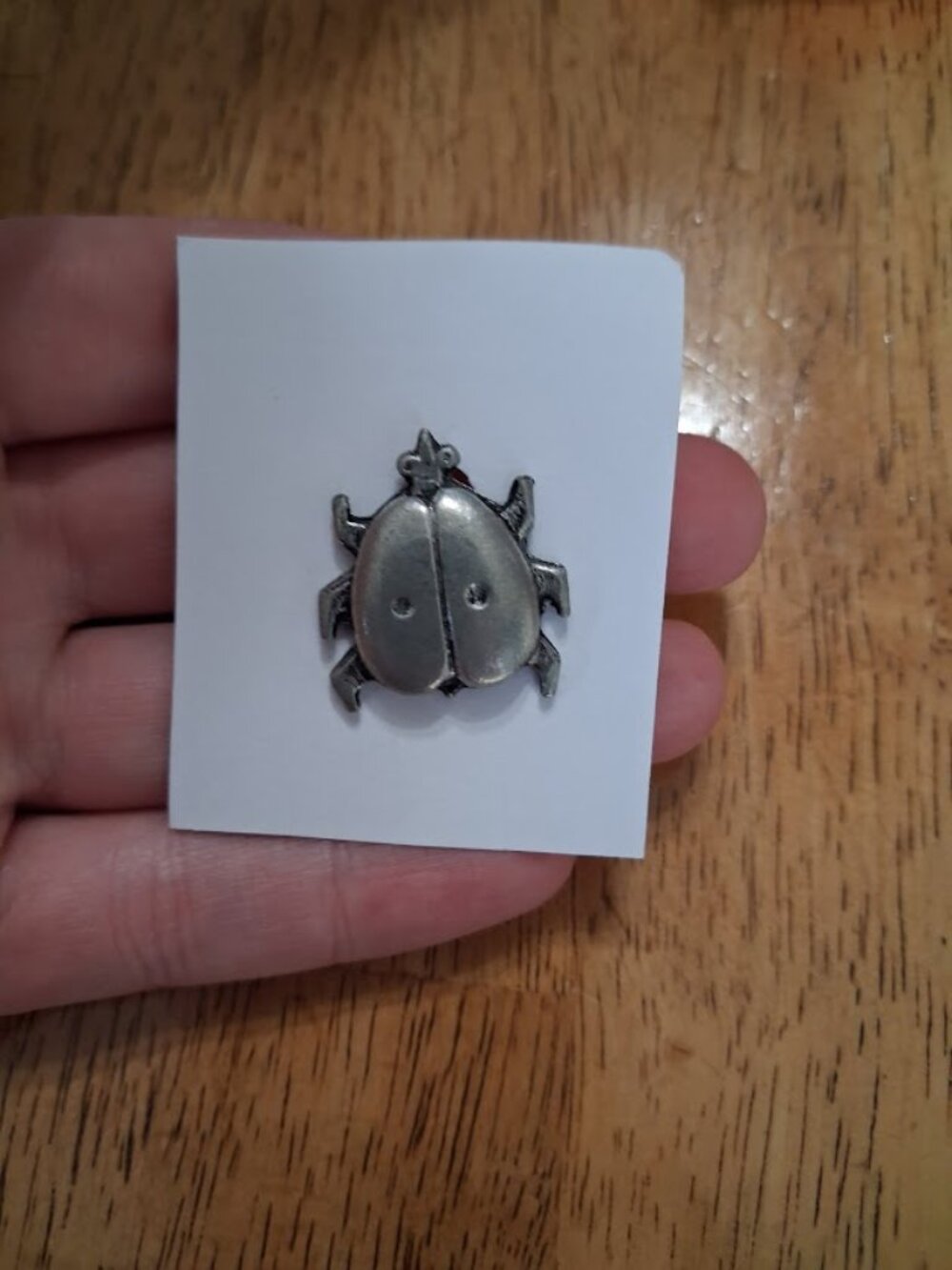 Ladybug pin